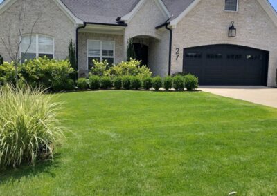 Lush green lawn with neatly trimmed grass and ornamental shrubs in front of a modern home, showcasing APEX Lawn Care services in Little Rock, Arkansas.
