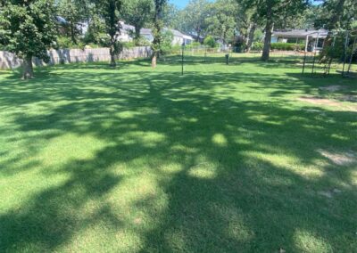 Lush green lawn showcasing professional lawn care services by APEX Lawn Care in Little Rock, Arkansas, featuring well-maintained grass and shaded areas.