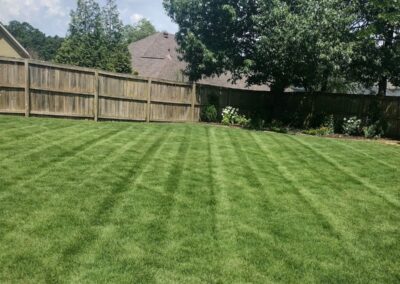 Well-maintained green lawn with striped mowing pattern in a fenced backyard, showcasing APEX Lawn Care services in Little Rock, Arkansas.