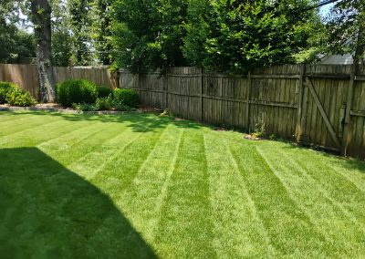 Lush green lawn with neatly striped grass, showcasing professional lawn care services by APEX Lawn Care in Central Arkansas.
