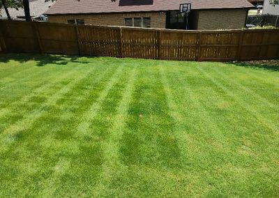 Lush, well-maintained lawn with striped mowing patterns, showcasing the quality of lawn care services by APEX Lawn Care in Little Rock, Arkansas.