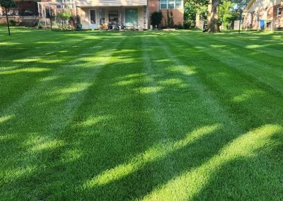 Lush green lawn with neatly striped grass in a residential yard, showcasing professional lawn care services by APEX Lawn Care in Central Arkansas.