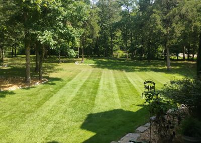 Lush green lawn with neatly striped grass, surrounded by trees, showcasing APEX Lawn Care's professional lawn care services in Central Arkansas.