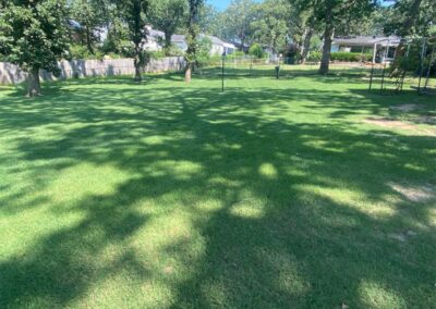 A sunny backyard with tree shadows cast across a well-maintained lawn is an ideal spot for an employee to relax and refresh. - Little Rock Lawn Care and Mowing Services by Apex Lawn Care