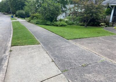 A residential street with a concrete sidewalk, green lawn, and overgrown bushes on a cloudy day. - Little Rock Lawn Care and Mowing Services by Apex Lawn Care Your statement doesn't have the word 'person' to be replaced by 'employee'. - Little Rock Lawn Care and Mowing Services by Apex Lawn Care