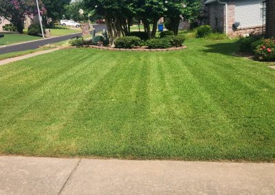Lush, well-manicured lawn with striped grass patterns, showcasing professional lawn care services by APEX Lawn Care in Central Arkansas.