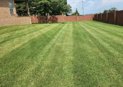 Lush, well-manicured lawn with striped patterns, showcasing professional lawn care services by APEX Lawn Care in Central Arkansas.