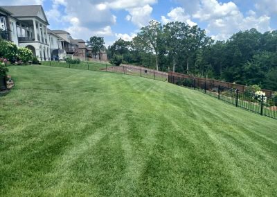 Lush green lawn with striped mowing patterns, showcasing professional lawn care by APEX Lawn Care in Central Arkansas, with residential homes and a fenced area in the background.