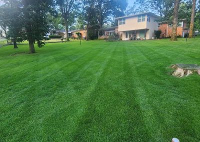Lush green lawn with striped mowing pattern and residential home in background, showcasing APEX Lawn Care's professional lawn care services in Central Arkansas.