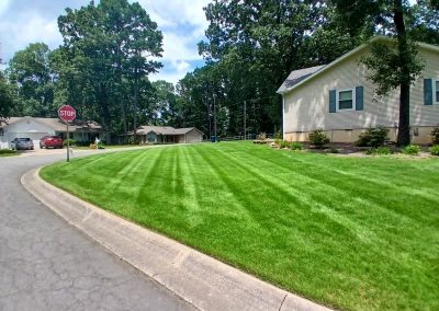 Lush, well-manicured lawn in Central Arkansas showcasing professional lawn care services by APEX Lawn Care, featuring clear stripes and a residential setting.
