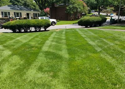 Lush, well-manicured lawn with distinct mowing stripes, showcasing professional lawn care by APEX Lawn Care in Central Arkansas.