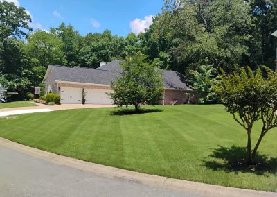Lush green lawn with neatly striped grass and well-maintained landscaping surrounding a residential property in Central Arkansas, showcasing APEX Lawn Care's professional lawn care services.