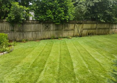 Lush green lawn with neatly striped grass patterns, showcasing professional lawn care services by APEX Lawn Care in Central Arkansas.
